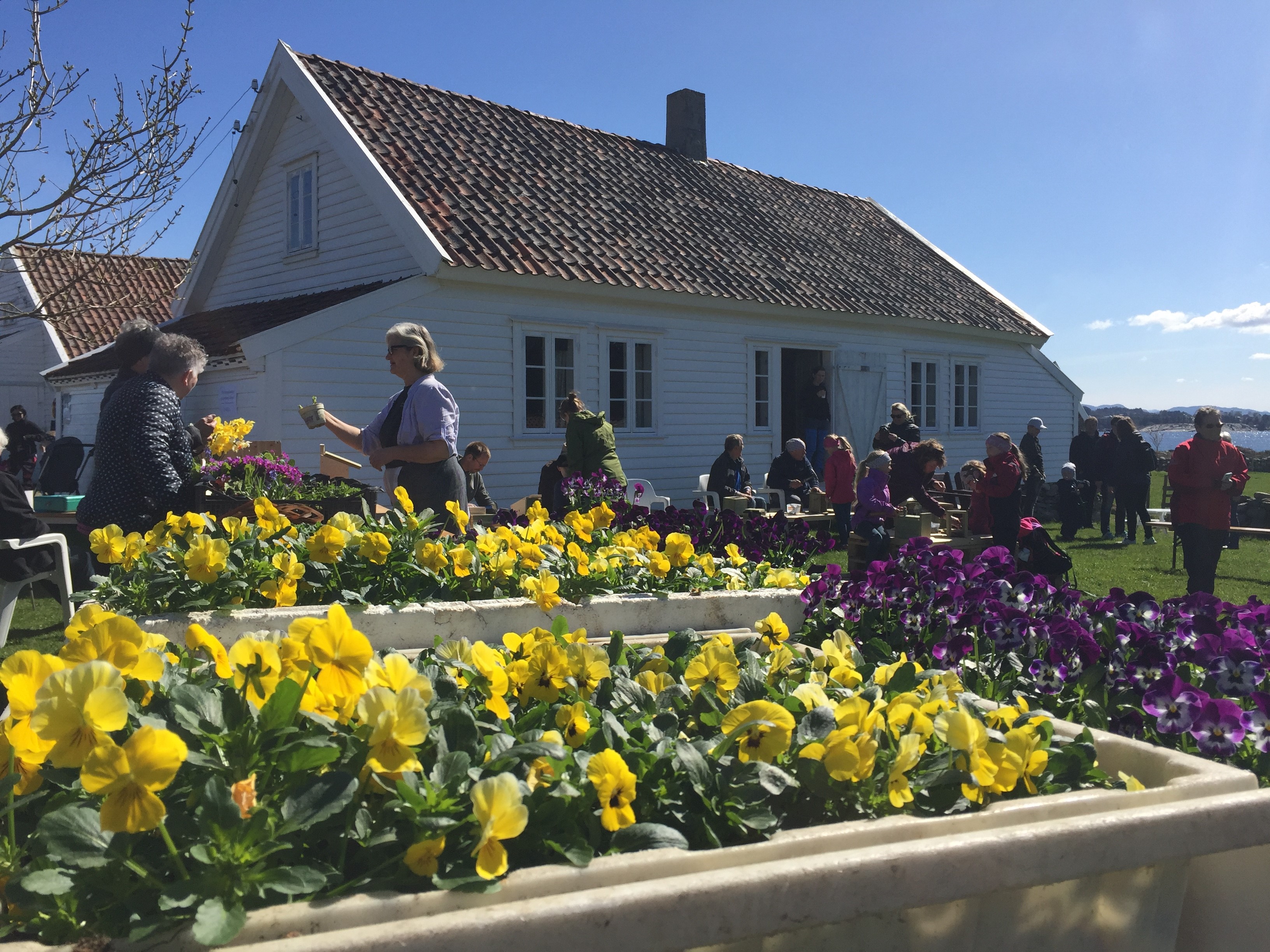 bilde av torhild som utfører plantebytte